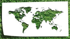 green.jpg